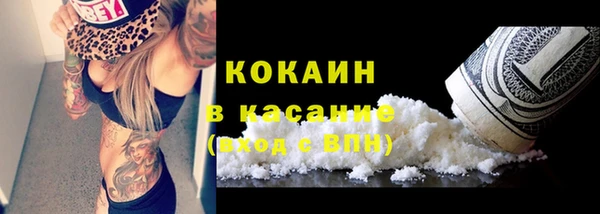 шишки Осташков