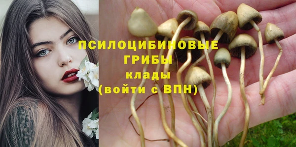 ГАЛЛЮЦИНОГЕННЫЕ ГРИБЫ Алзамай